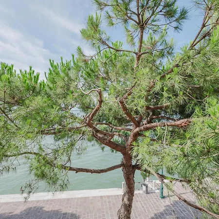 Lagoon View - 12 Min To The Train Station Venezia